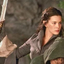 NewCosplay The Lord Of The Rings Arwen Chase Dress Costume