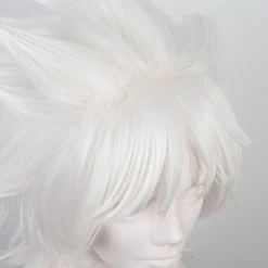 NewCosplay New Arrivals Fate/Apocrypha FA Ruler Amakusa Shiro Wig Cosplay Wigs 9 NewCosplay New Arrivals Fate/Apocrypha FA Ruler Amakusa Shiro Wig Cosplay Wigs